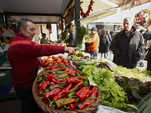 Feria agrícola y ganadera de Leioa