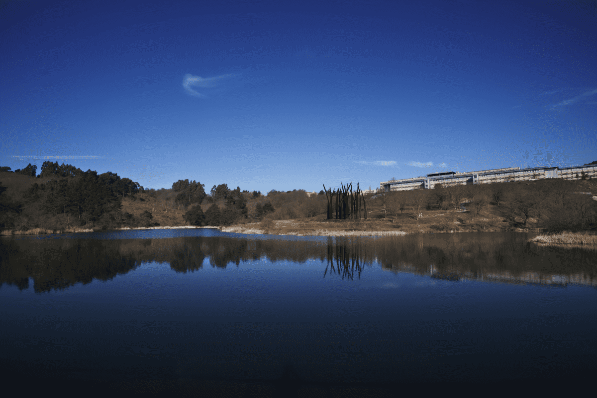 Arboretum, Leioa