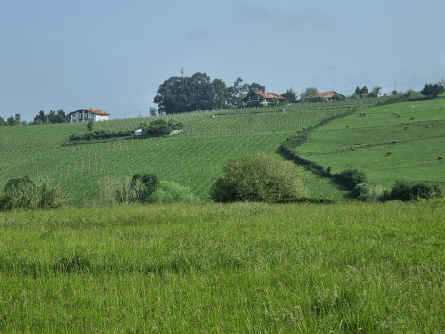 Ruta Baserri, Leioa