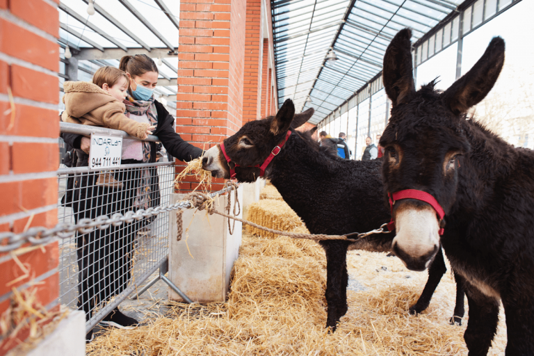 Feria agrícola y ganadera de Leioa