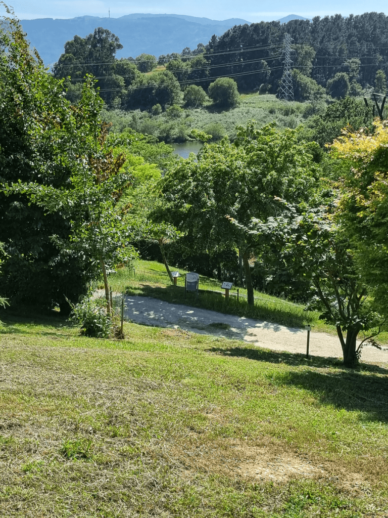 Arboretum, Leioa