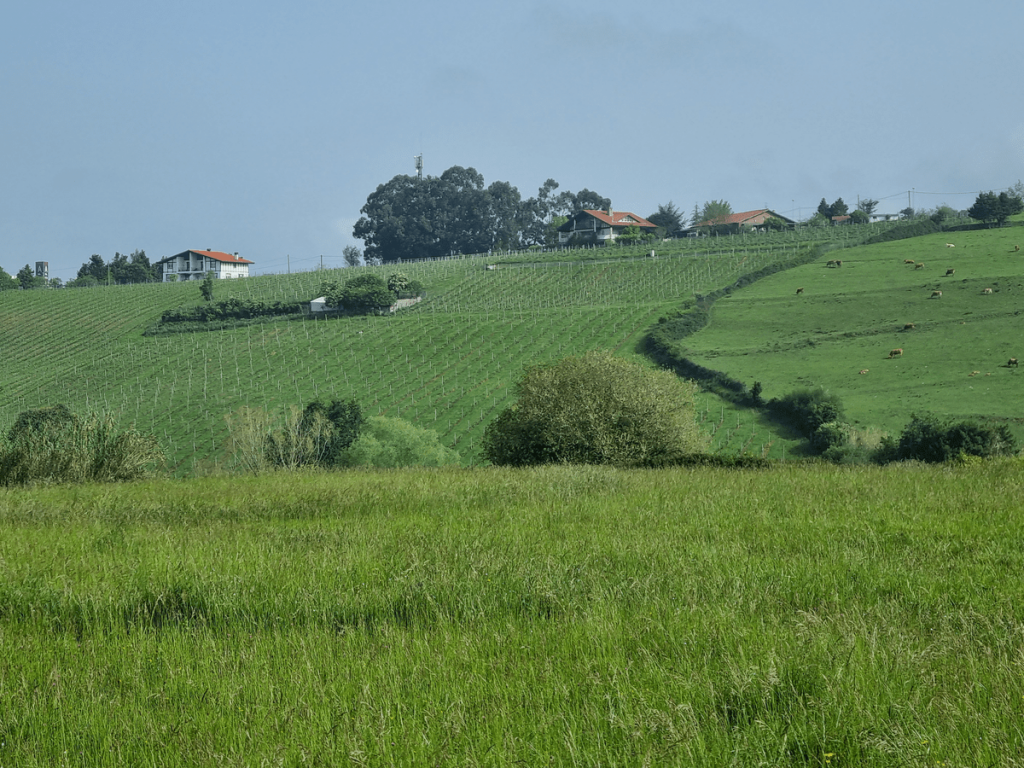 Ruta Baserri, Leioa